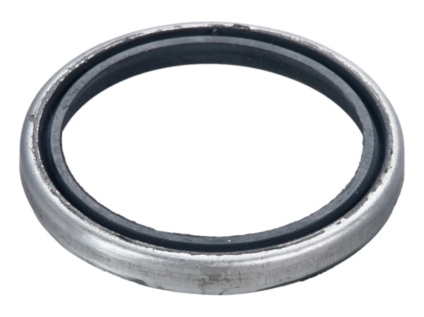 Dichtring Bremssattel für PORSCHE 911 G Turbo 3.3 930 WTL Abstreifring HINTEN